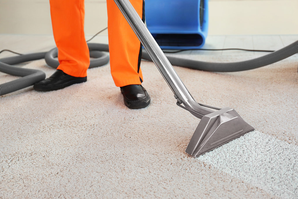 carpet-cleaning-companies-near-me